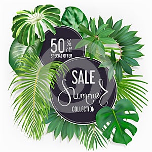 Summer sale banner with tropic leaves