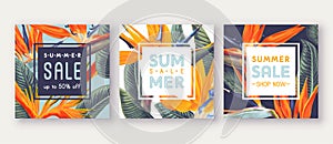 Summer sale banner with tropical flowers - Strelitzia, on background with bright colours.