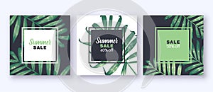Summer sale banner with tropical foliage - palm leaves, on dark and white background.