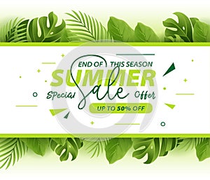 Summer sale banner with tropical leaves background