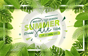 Summer sale banner with tropical leaves frame background