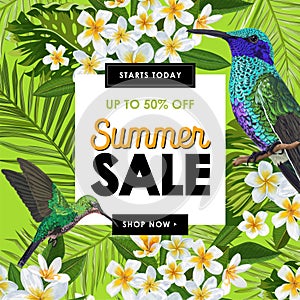 Summer Sale Banner with Tropical Plumeria Flowers, Palm Leaves and Humming Birds. Floral Template for Promo, Discount