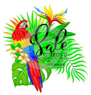 Summer sale bright composition with parrot flowers and leaves
