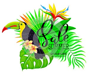 Summer sale bright composition with toucan flowers and leaves
