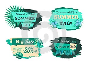Summer Sale Collection Poster Vector Illustration
