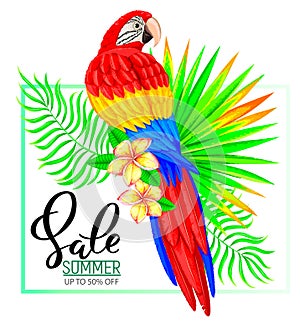 Summer sale composition with parrot flowers and leaves