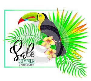 Summer sale composition with toucan flowers and leaves