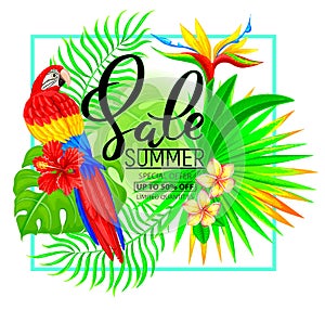 Summer sale composition with tropical plants and parrot