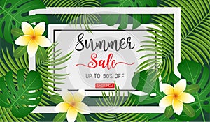 Summer sale concept banner for discount promotion with plumeria flower and tropical leaves