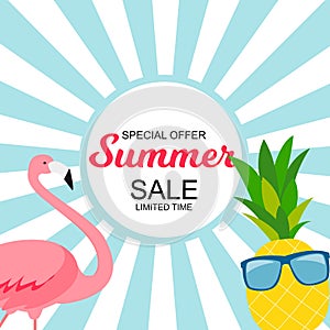Summer Sale concept with Colorful Cartoon Pink Flamingo Background.  Illustration