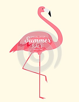 Summer Sale concept with Colorful Cartoon Pink Flamingo Background.  Illustration
