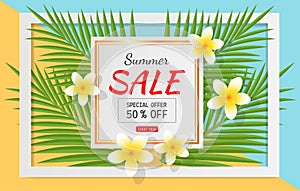 Summer sale concept for discount promotion. Coconut leaves, watermelon, Plumeria flower on blue and orange