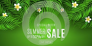 Summer sale cover for web. Exotic palm leaf with plumeria flowers on a green background. Special offer. Online shopping. Seasonal