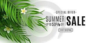 Summer sale cover for web. Exotic palm leaf with plumeria flowers on white background. Special offer. Online shopping. Seasonal