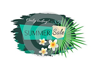 Summer Sale Discount Banner Vector Illustration