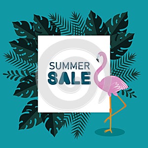 summer sale with flamish and exotic leaves photo
