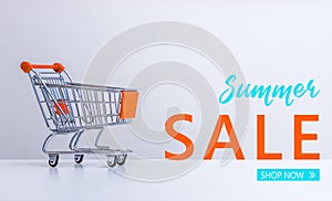 Summer Sale: Shopping cart and â€œSummer Sale â€“ Shop nowâ€ lettering