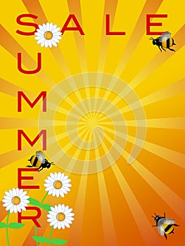 Summer Sale Sign Daisies Flowers and Bumble Bees