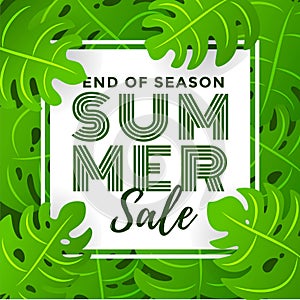 Summer Sale with Tropical Leaf Background
