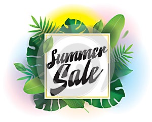 Summer sale. Vector background for posters and banners.