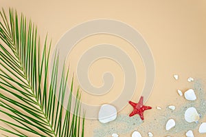 Summer sand beach with starfish and seashells. Creative Flat lay Top view Template with Copy space for text.