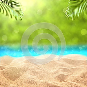 Summer sandy beach  with green grass backdrop