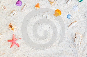 Summer sandy beach with sea shell, starfish.