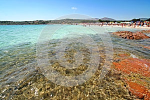 Summer in Sardinia