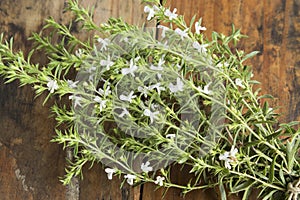 Summer Savory , Satureja Hortensis, Bunch