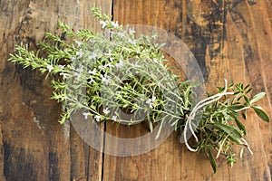 Summer Savory , Satureja Hortensis, Bunch