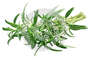 Summer savory Satureja hortensis bundle, paths