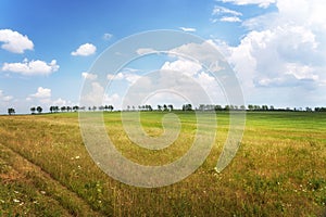 Beautiful Landscape with Green Grass and Field, Blue Sky at Sunny Day