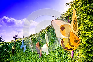 A summer scene of brightly green of from bushes, sheared hedge with beautiful, colorful butterflies