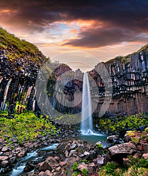 Summer scene of famous Svartifoss Black Fall Waterfall.