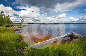 Summer scene, finland