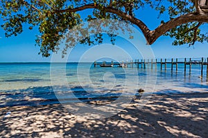 Summer scene in Florida Keys with white beach and tourqoise water