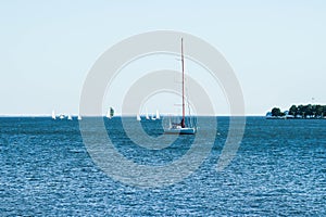 Summer Scene of Small Sailing Boats on the Chesapeake Bay