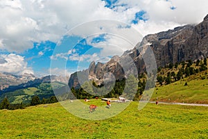 Summer scenery of a beautiful ranch in a grassy valley in Dolomites