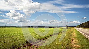 Summer Scenery with Green Grass, Road, Field and Blue Sky at Sunny Day