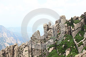 The summer scenery of Luya Mountain