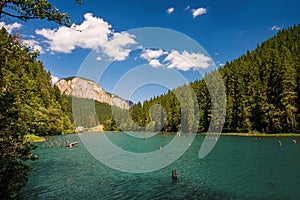 Summer scenery of mountain lake Lacul Rosu or Red Lake in Eastern Carpathians, Harghita County, Romania