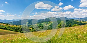 summer scenery of mountainous countryside.