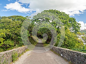 Old bridge way in Killarney national park in Ireland