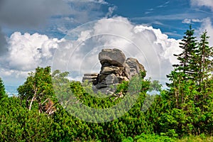 Summer scenery of the trail on Mount Szrenica in the Karkonosze Mountains, Poland