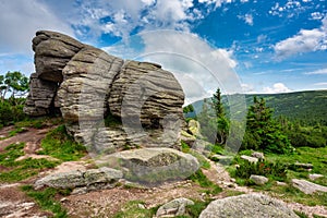 Summer scenery of the trail on Mount Szrenica in the Karkonosze Mountains, Poland