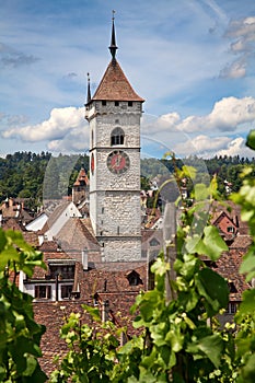 Summer in Schaffhausen