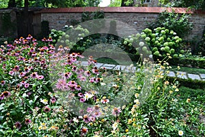 Cottage summer perennials garden in Schlosshof Austria professionally planted with groups of perennials photo