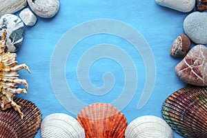 Summer sea background - shells on a blue background