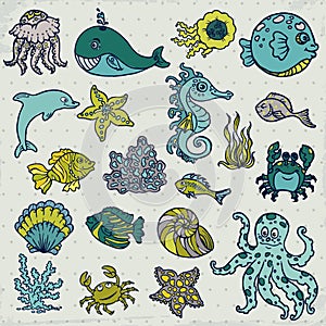 Summer Sea Life creatures