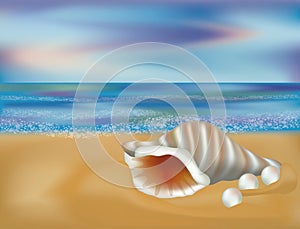 Summer sea shell background, vector